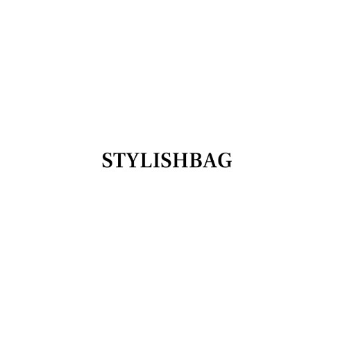 stylish bag