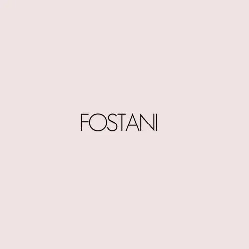 FOSTANI LLC