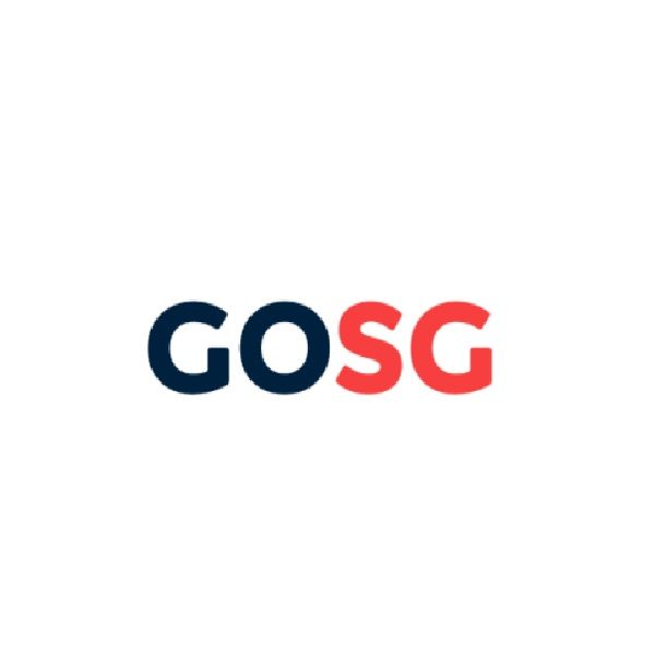 GO SG CONSULTING